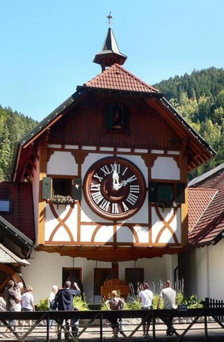 Two-Bedroom Apartment Near Triberg Waterfall Triberg im Schwarzwald Exterior photo